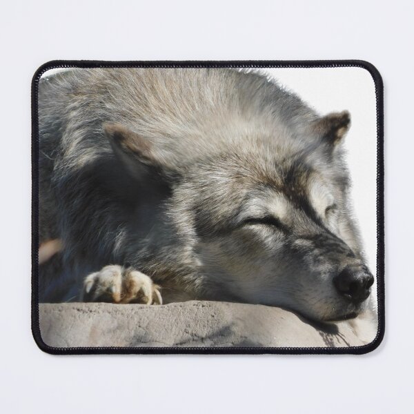 Item preview, Sleepy Wolf designed and sold by Photomainia.