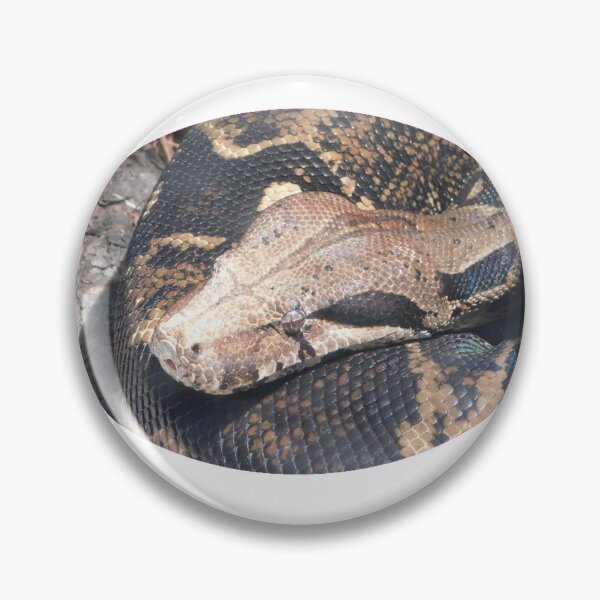 Item preview, Boa designed and sold by Photomainia.