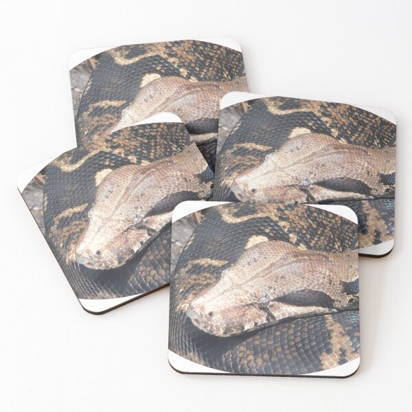 Item preview, Boa designed and sold by Photomainia.