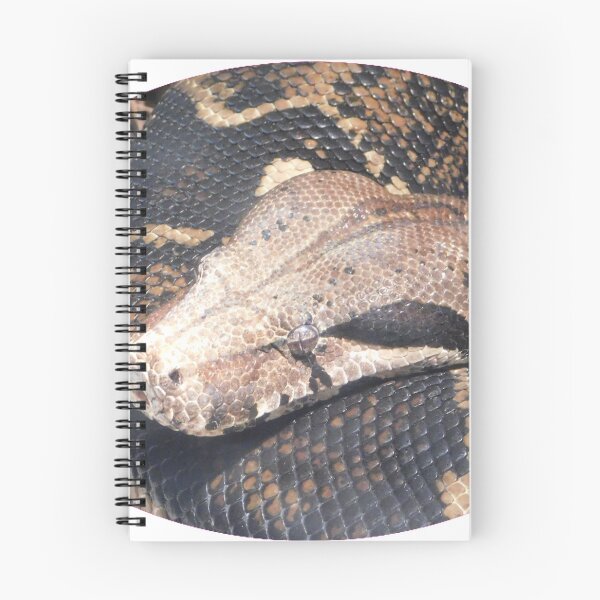 Item preview, Boa designed and sold by Photomainia.