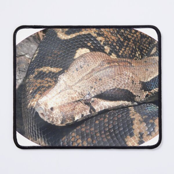 Item preview, Boa designed and sold by Photomainia.