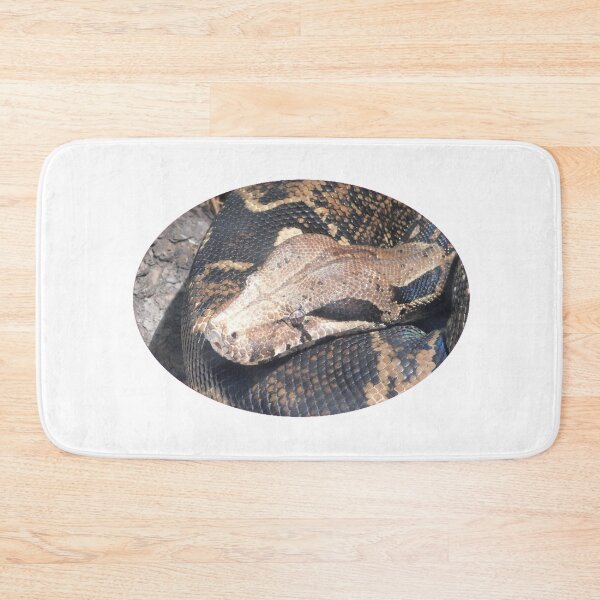 Item preview, Boa designed and sold by Photomainia.