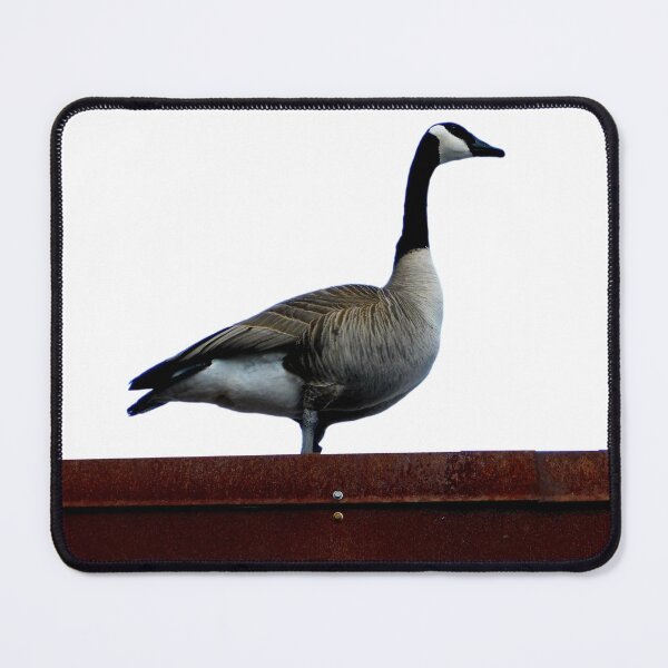 Item preview, Goose on the Loose designed and sold by Photomainia.