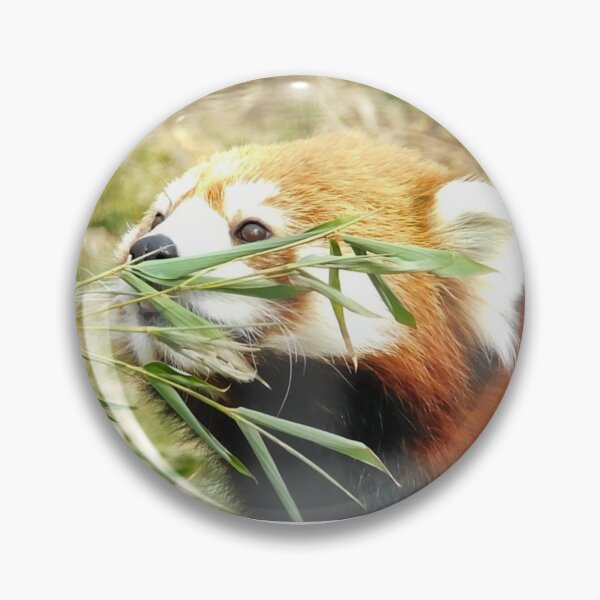Item preview, Curiosity designed and sold by Photomainia.