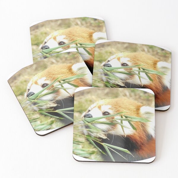 Item preview, Curiosity designed and sold by Photomainia.