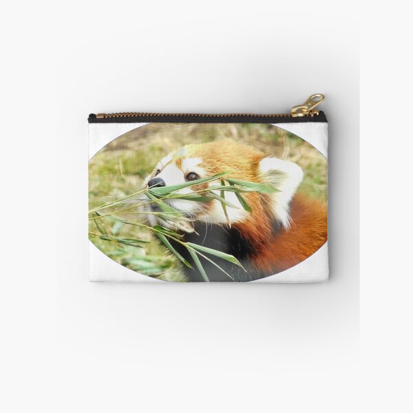 Item preview, Curiosity designed and sold by Photomainia.