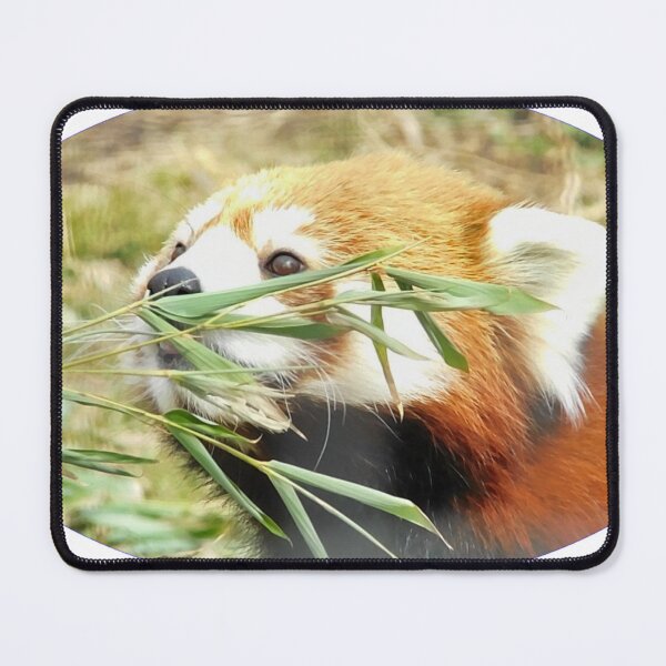 Item preview, Curiosity designed and sold by Photomainia.