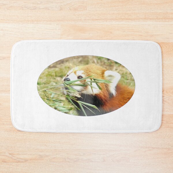 Item preview, Curiosity designed and sold by Photomainia.