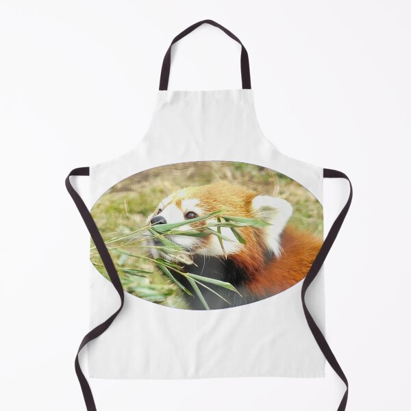 Item preview, Curiosity designed and sold by Photomainia.