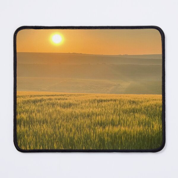 Item preview, Field at dawn designed and sold by Alison Crowe.