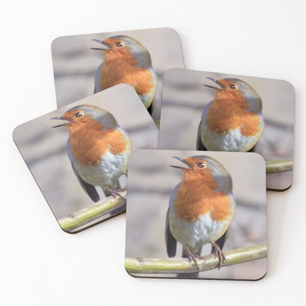Item preview, Robin designed and sold by Tom McPherson Photography.
