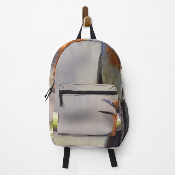 Item preview, Robin designed and sold by Tom McPherson Photography.