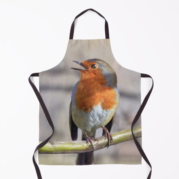 Item preview, Robin designed and sold by Tom McPherson Photography.