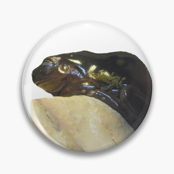 Item preview, Froggy designed and sold by Photomainia.