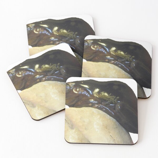 Item preview, Froggy designed and sold by Photomainia.