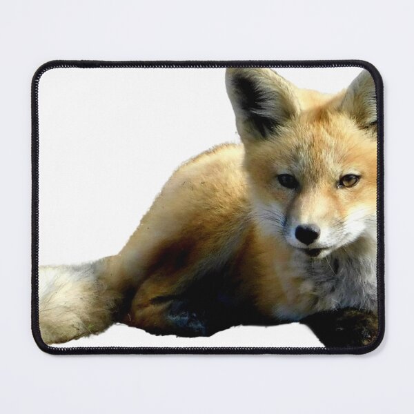 Item preview, Foxy designed and sold by Photomainia.
