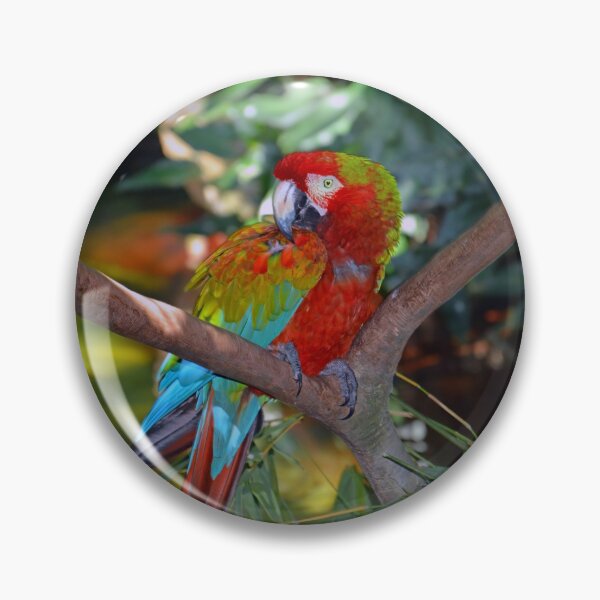 Item preview, Green-winged Macaw designed and sold by Savannah Gibbs.