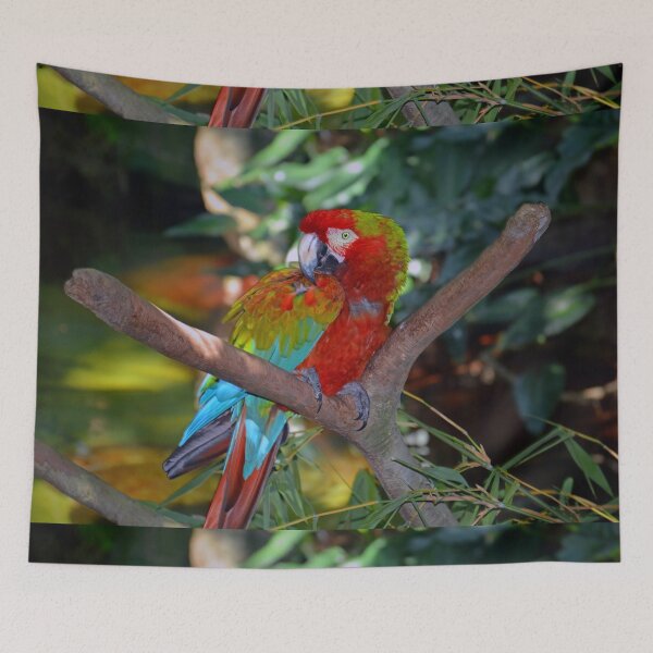 Item preview, Green-winged Macaw designed and sold by Savannah Gibbs.