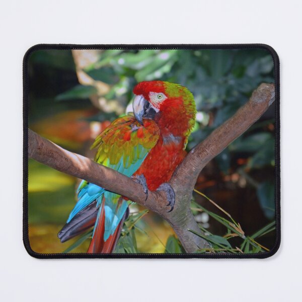 Item preview, Green-winged Macaw designed and sold by Savannah Gibbs.