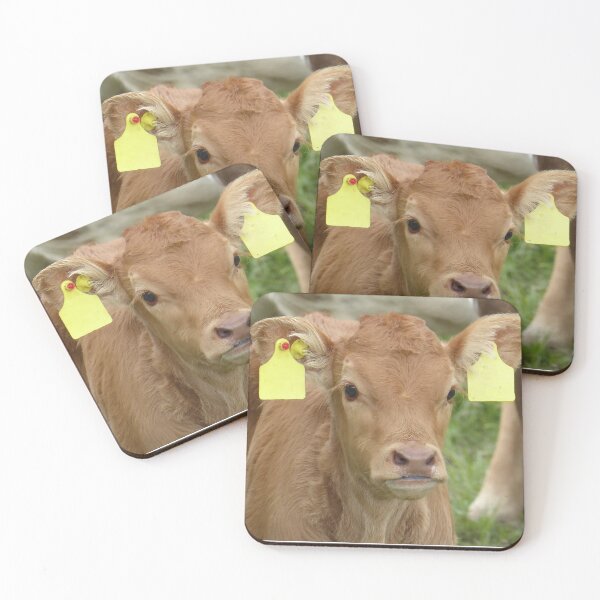 Item preview, Little brown calf  designed and sold by FastRapidash.