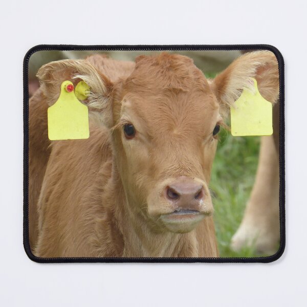 Item preview, Little brown calf designed and sold by FastRapidash.