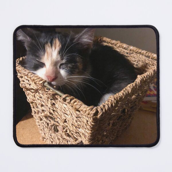 Item preview, Kitten sleeping in a basket designed and sold by aceoflemons.