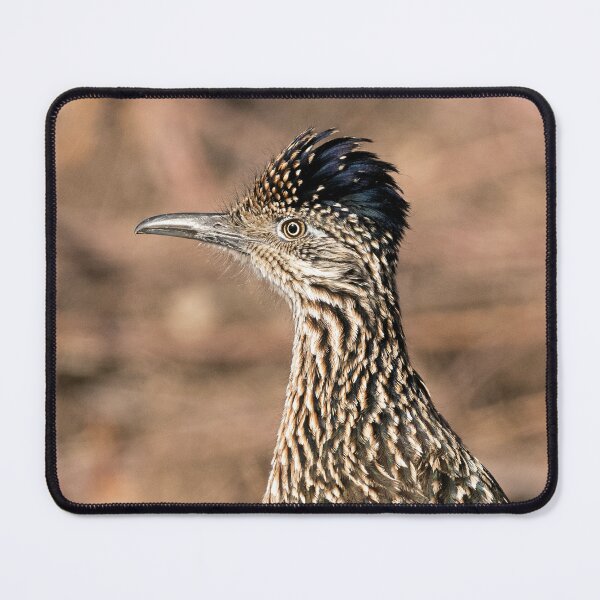 Item preview, Greater Roadrunner Portrait designed and sold by DWMMPhotography.