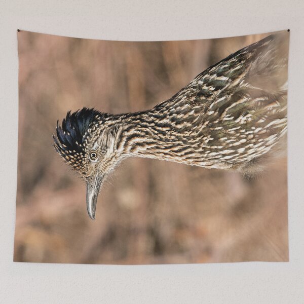 Item preview, Greater Roadrunner Portrait designed and sold by DWMMPhotography.