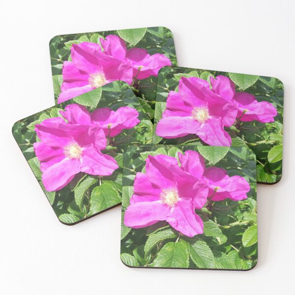 Item preview, Pink wild roses photograph  designed and sold by esvb.