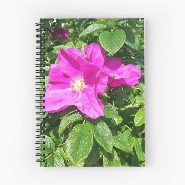 Item preview, Pink wild roses photograph  designed and sold by esvb.