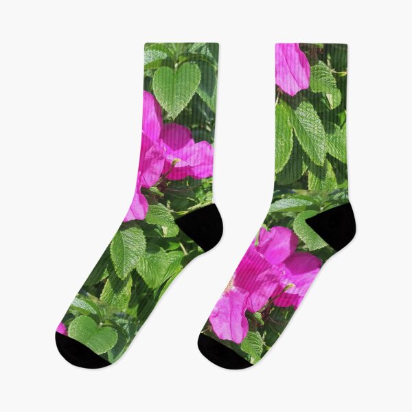 Item preview, Pink wild roses photograph  designed and sold by esvb.