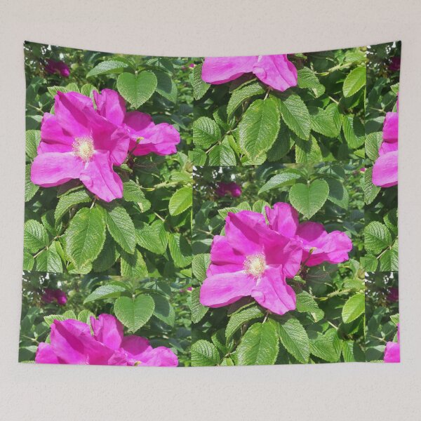 Item preview, Pink wild roses photograph  designed and sold by esvb.