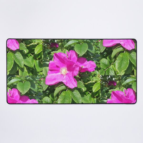 Item preview, Pink wild roses photograph  designed and sold by esvb.