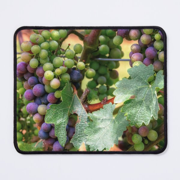 Item preview, Cabernet Sauvignon Grapes  designed and sold by CarolRMontoya.