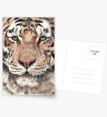 Attentive Postcards