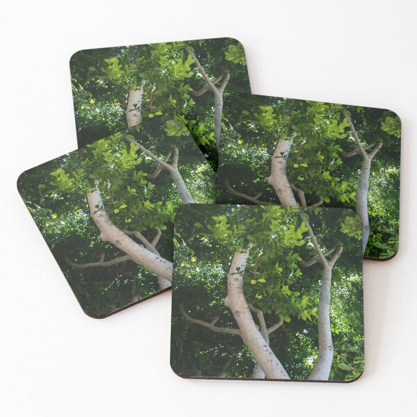 Item preview, Reaching Way Up  designed and sold by heatherfriedman.