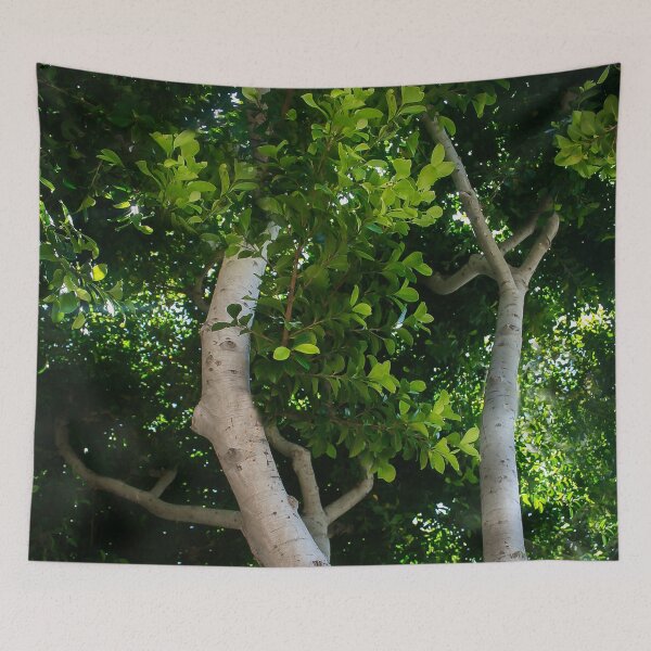 Item preview, Reaching Way Up  designed and sold by heatherfriedman.