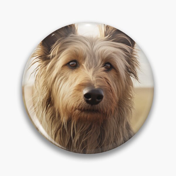 Item preview, Portrait of a Berger Picard designed and sold by Samuelsboro.