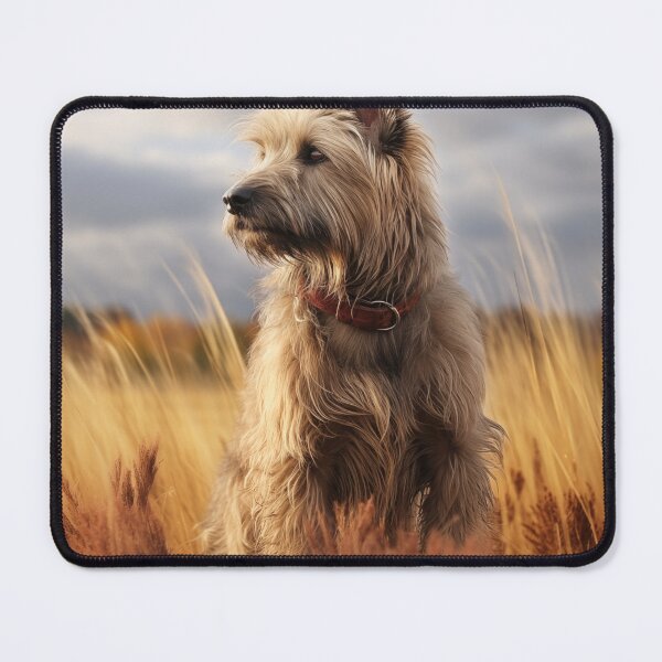 Item preview, Portrait of a Berger Picard designed and sold by Samuelsboro.