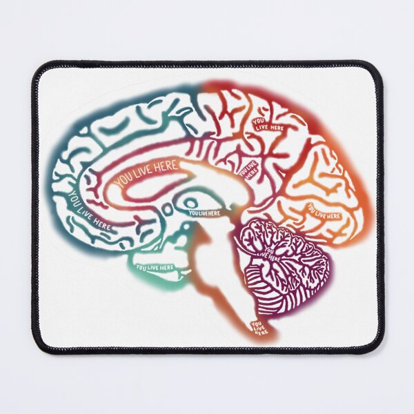 Item preview, Anatomical Brain designed and sold by saberbaber.