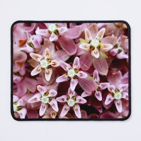 Item preview, Milkweed Flower designed and sold by bjtomiko.