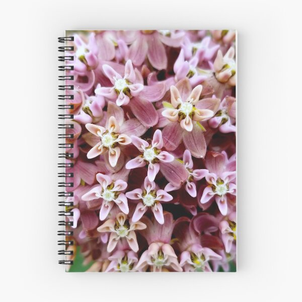 Item preview, Milkweed Flower designed and sold by bjtomiko.