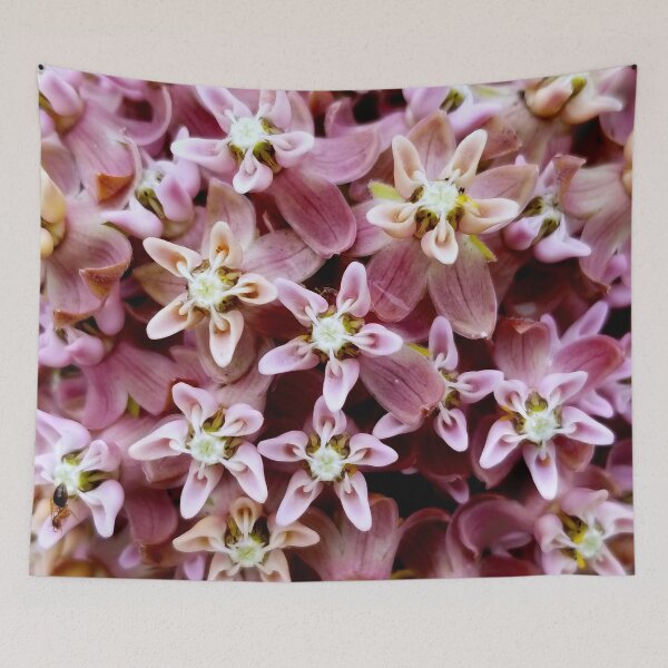 Item preview, Milkweed Flower designed and sold by bjtomiko.