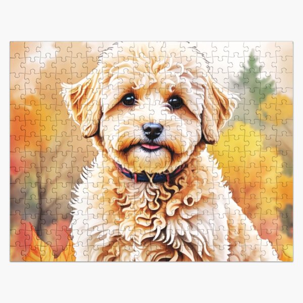 Artikel-Vorschau von Maltipoo im Herbst, designt und verkauft von TheAnimalZ00.