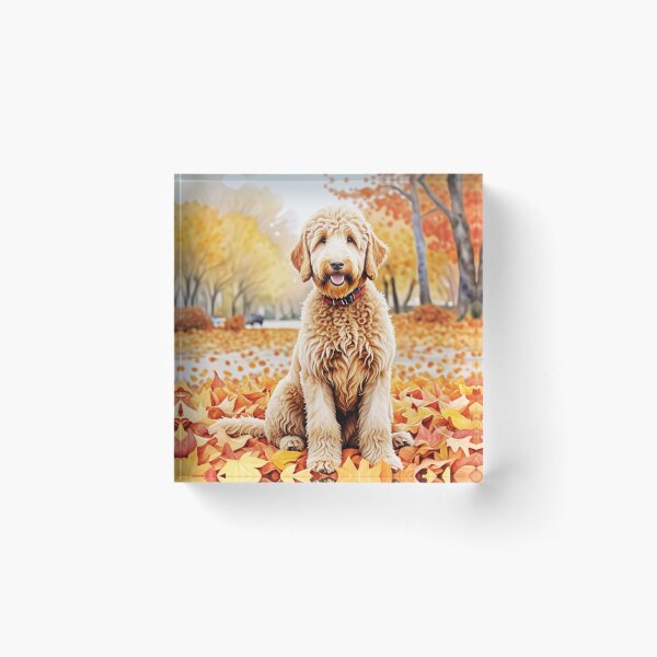 Artikelvorschau, Goldendoodle im Herbst entworfen und verkauft von TheAnimalZ00.