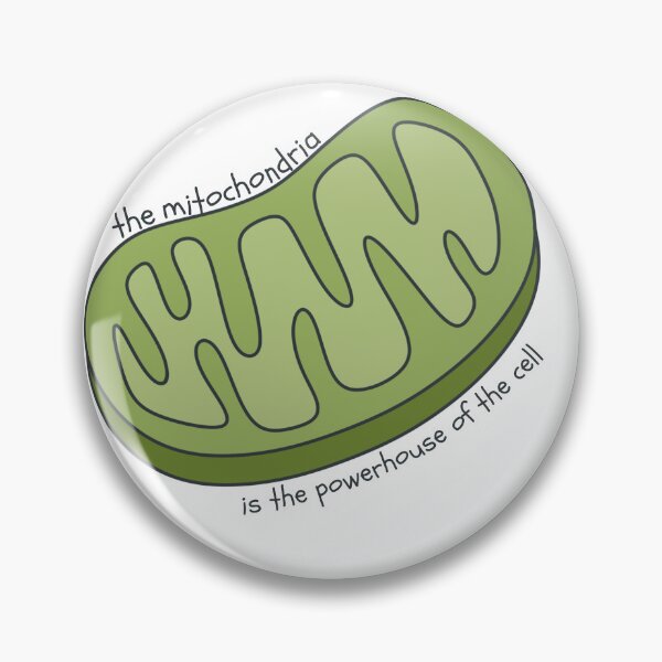 Artikelvorschau, Die Mitochondrien sind das Kraftwerk der Zelle entworfen und verkauft von LisaTrincaArt.