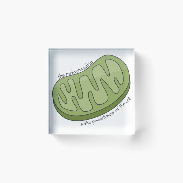 Artikelvorschau, Die Mitochondrien sind das Kraftwerk der Zelle entworfen und verkauft von LisaTrincaArt.