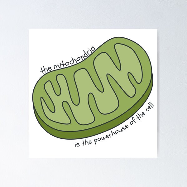 Item preview, the mitochondria is the powerhouse of the cell designed and sold by LisaTrincaArt.