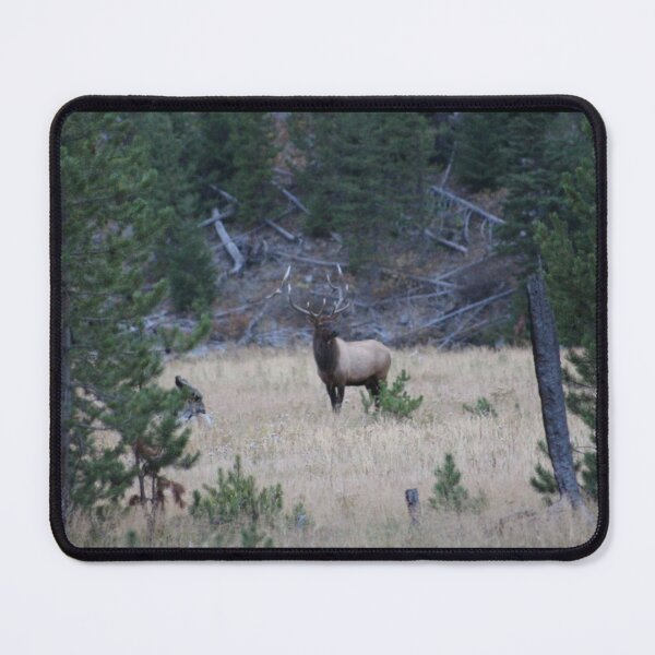 Item preview, Elk in Yellowstone designed and sold by discocowgirl.