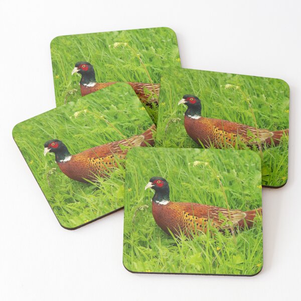 Item preview, Male, Ring-Necked Pheasant designed and sold by Fay Freshwater.